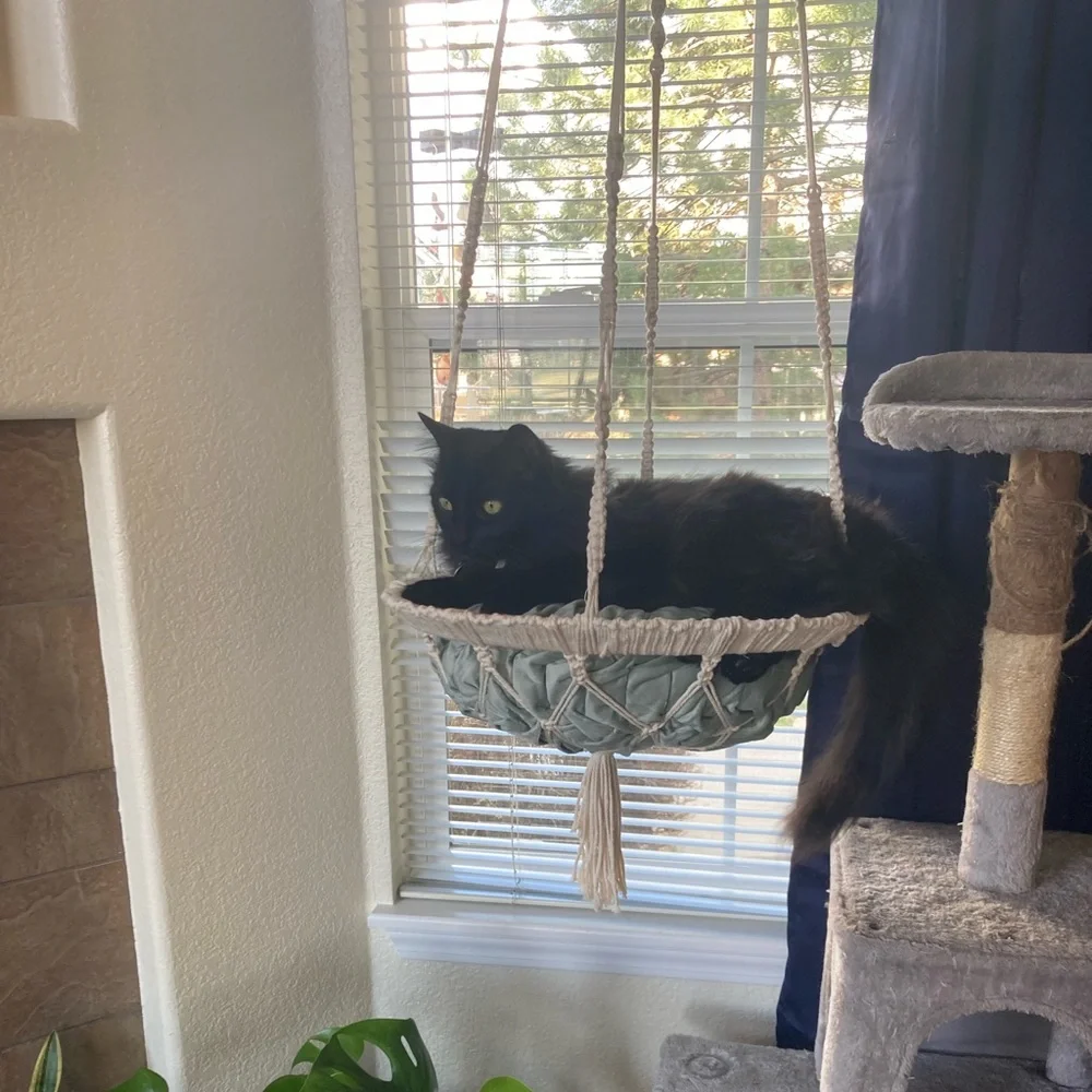 Handmade macrame cat swing